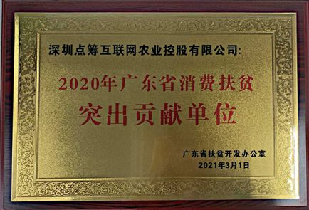 2020年广东省消费扶贫突出贡献单位