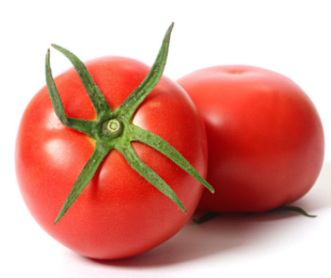番茄的描述