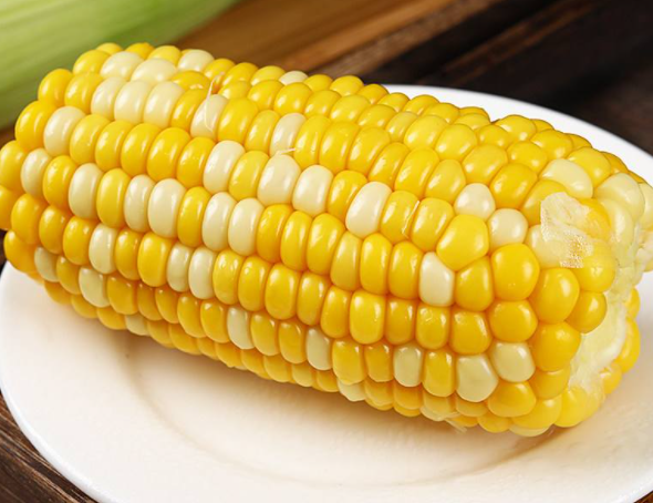 怎么介绍玉米